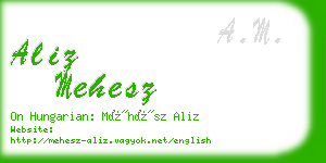 aliz mehesz business card